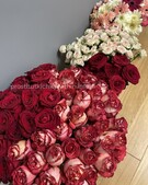 Анкета проститутки Кристина - метро Беговой, возраст - 25